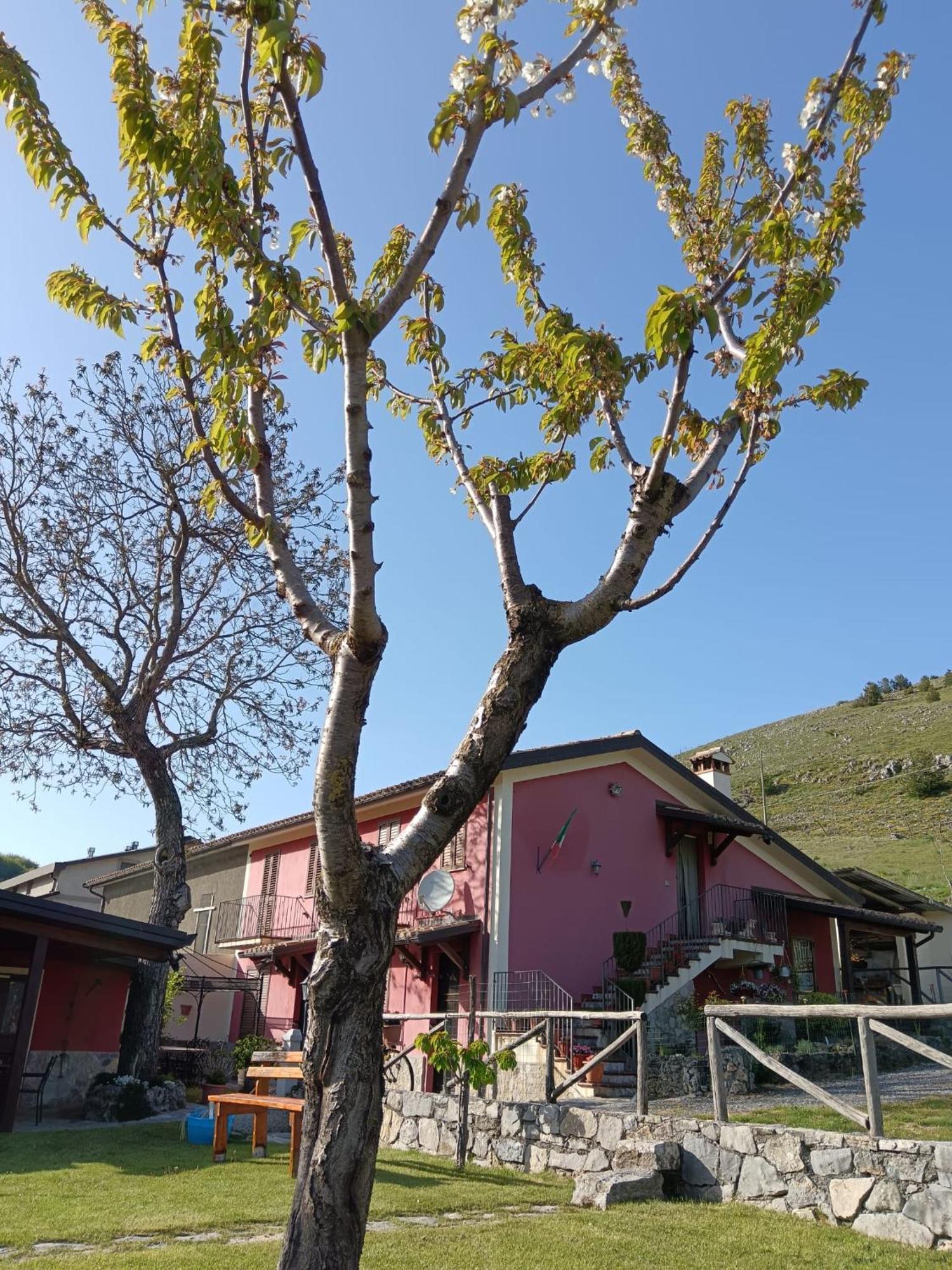 Agriturismo Casa Della Nonna Mormanno Exterior foto